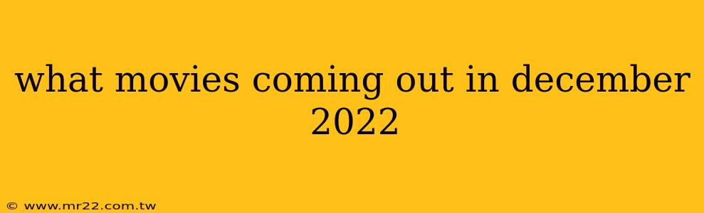 what movies coming out in december 2022