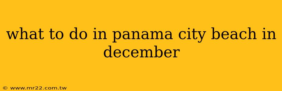 what to do in panama city beach in december
