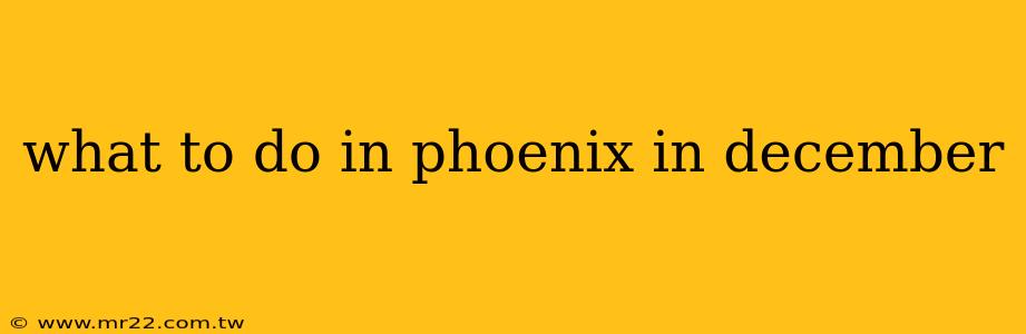 what to do in phoenix in december
