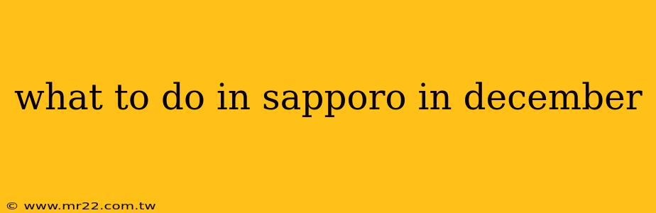 what to do in sapporo in december