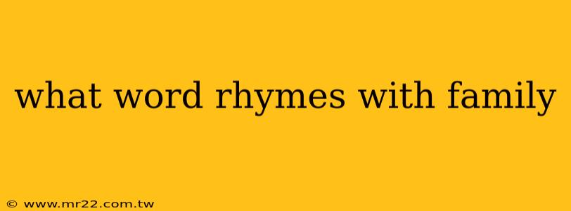 what word rhymes with family