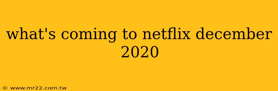 what's coming to netflix december 2020