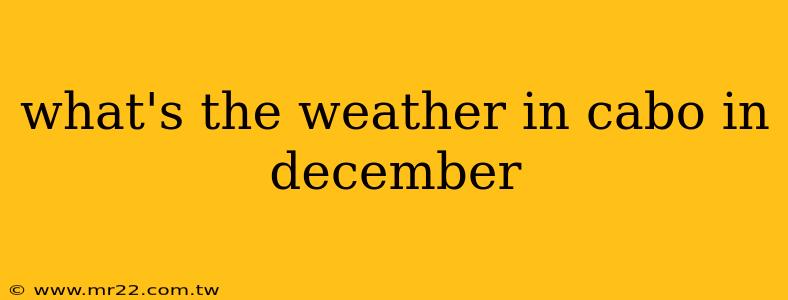 what's the weather in cabo in december