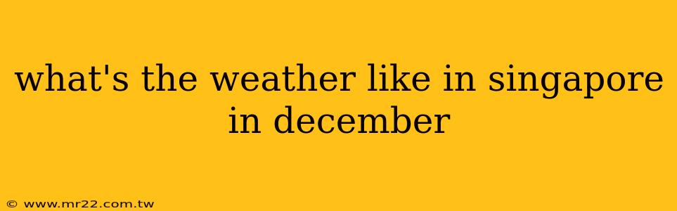 what's the weather like in singapore in december