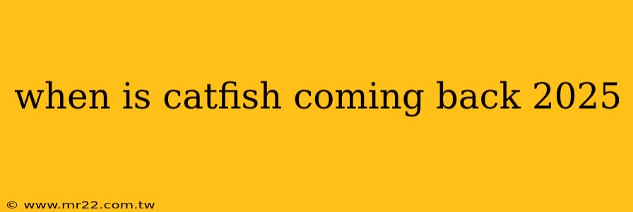 when is catfish coming back 2025