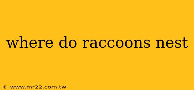 where do raccoons nest
