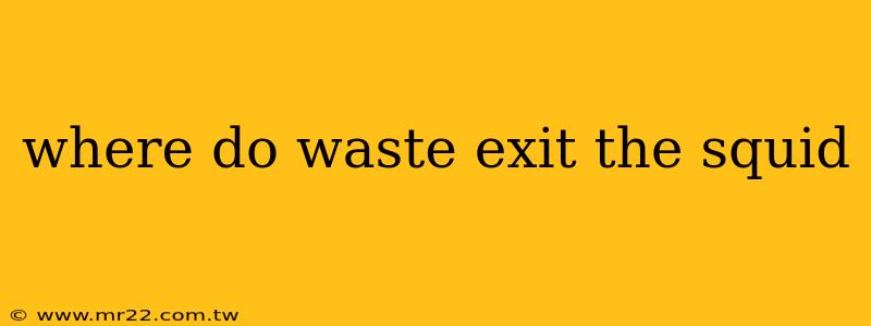 where do waste exit the squid