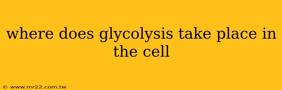 where does glycolysis take place in the cell