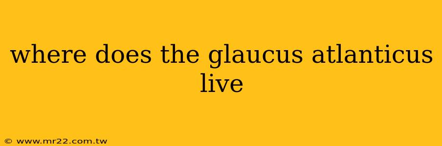 where does the glaucus atlanticus live
