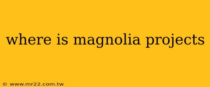 where is magnolia projects