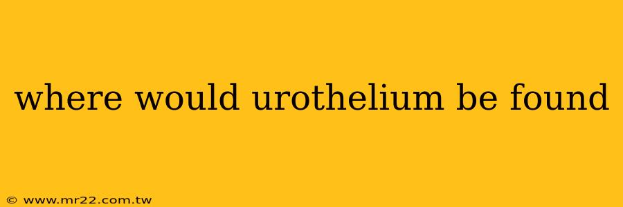 where would urothelium be found