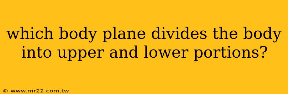 which body plane divides the body into upper and lower portions?