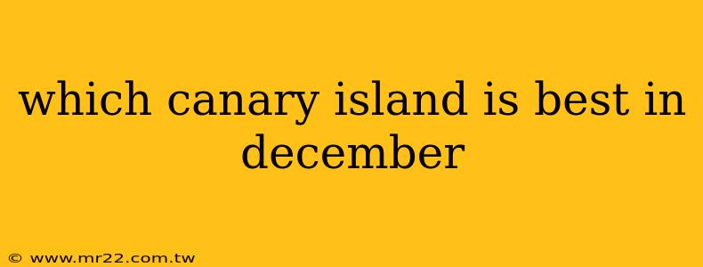 which canary island is best in december