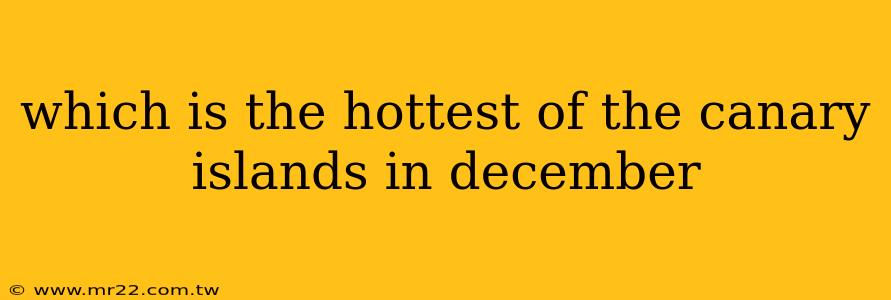 which is the hottest of the canary islands in december