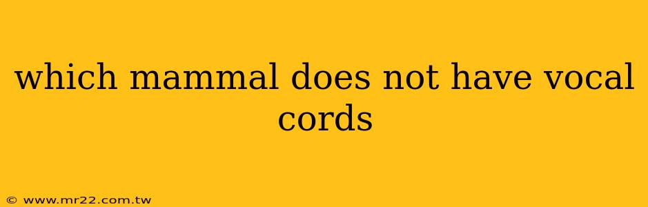 which mammal does not have vocal cords