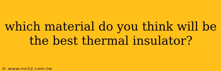 which material do you think will be the best thermal insulator?