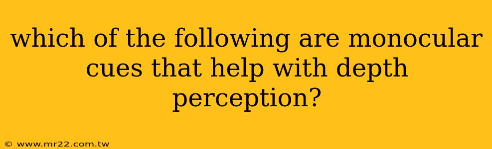 which of the following are monocular cues that help with depth perception?