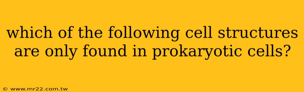 which of the following cell structures are only found in prokaryotic cells?