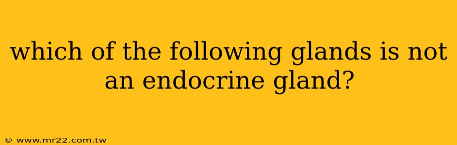 which of the following glands is not an endocrine gland?