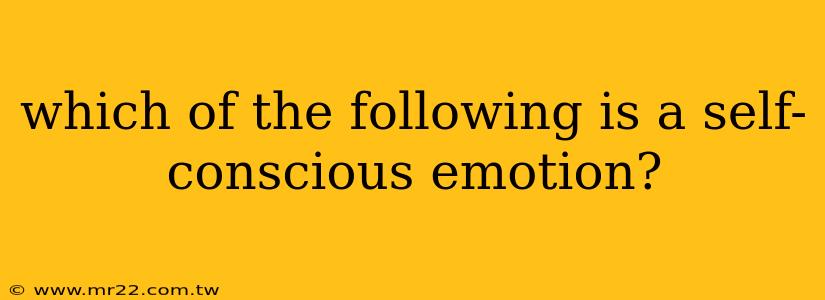 which of the following is a self-conscious emotion?