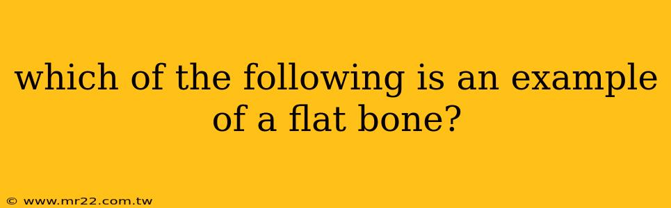 which of the following is an example of a flat bone?