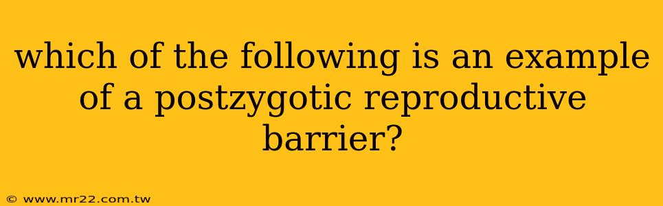 which of the following is an example of a postzygotic reproductive barrier?