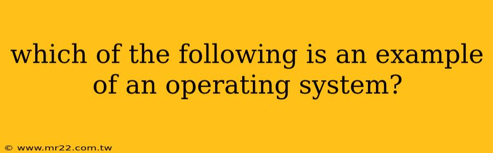 which of the following is an example of an operating system?