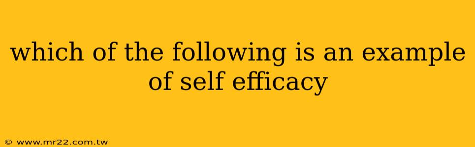 which of the following is an example of self efficacy