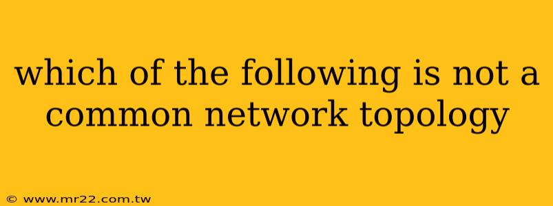 which of the following is not a common network topology
