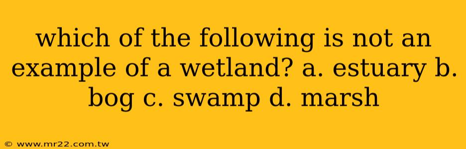 which of the following is not an example of a wetland? a. estuary b. bog c. swamp d. marsh