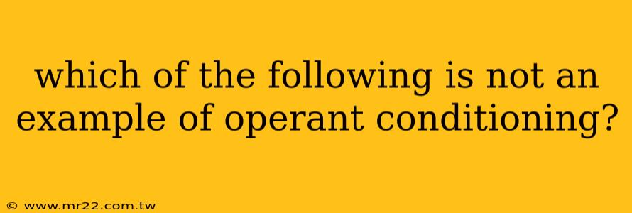 which of the following is not an example of operant conditioning?