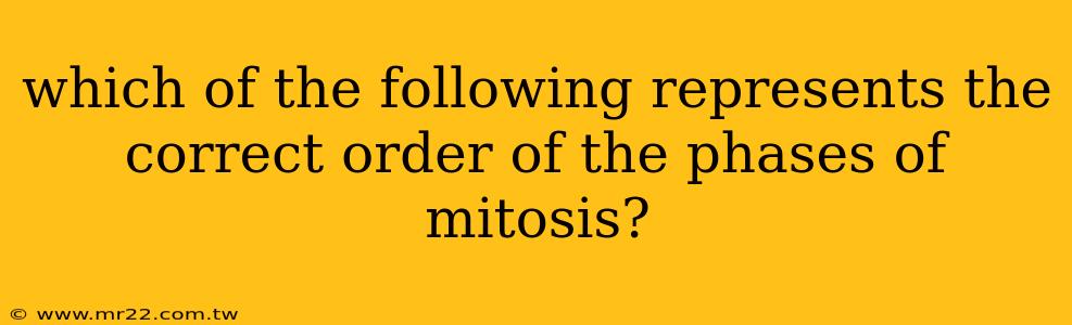 which of the following represents the correct order of the phases of mitosis?