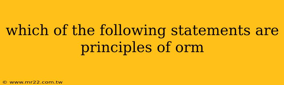 which of the following statements are principles of orm