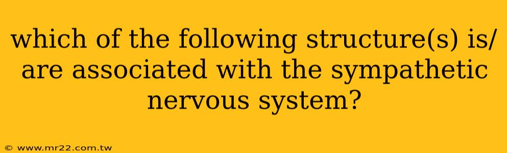 which of the following structure(s) is/are associated with the sympathetic nervous system?