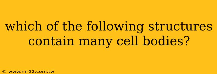 which of the following structures contain many cell bodies?