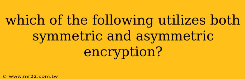 which of the following utilizes both symmetric and asymmetric encryption?