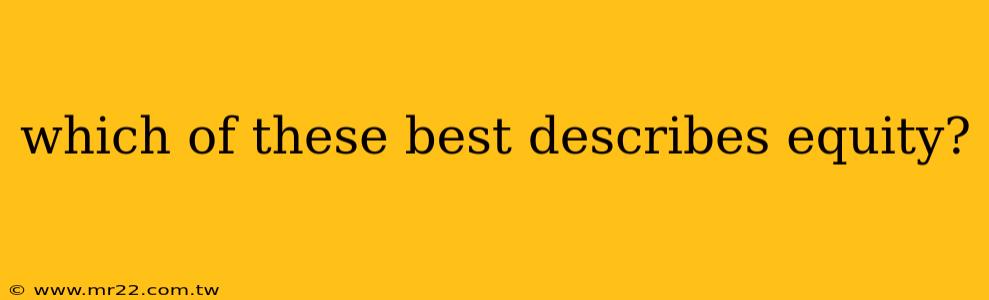 which of these best describes equity?