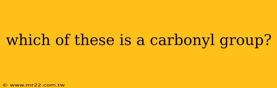 which of these is a carbonyl group?
