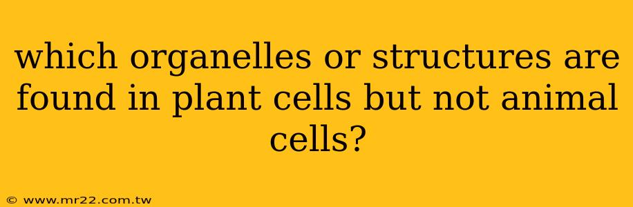 which organelles or structures are found in plant cells but not animal cells?