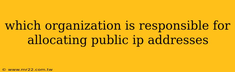 which organization is responsible for allocating public ip addresses