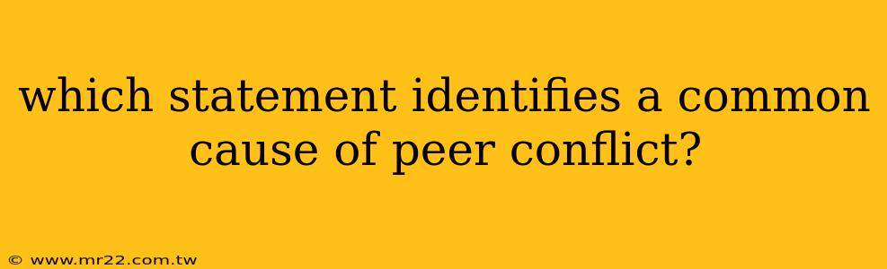 which statement identifies a common cause of peer conflict?