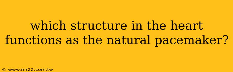 which structure in the heart functions as the natural pacemaker?