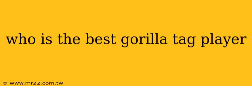 who is the best gorilla tag player