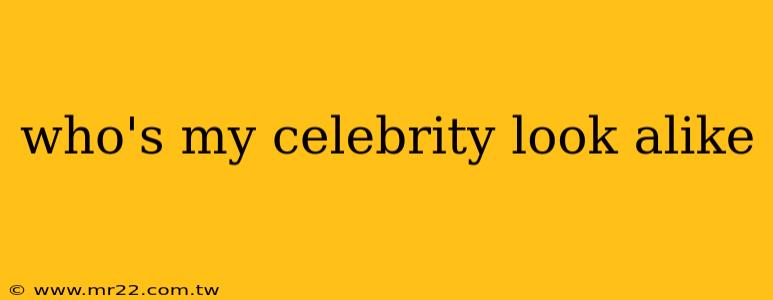 who's my celebrity look alike
