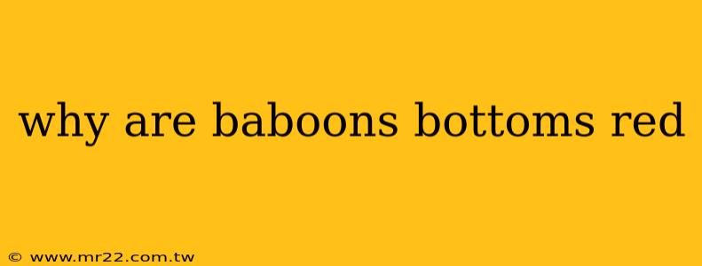 why are baboons bottoms red