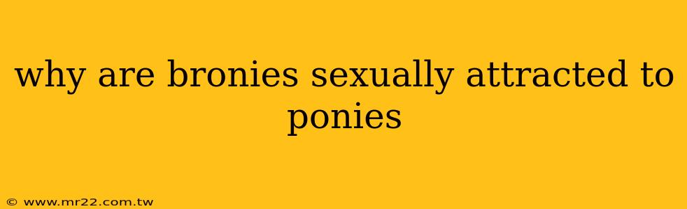 why are bronies sexually attracted to ponies