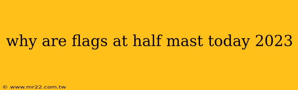 why are flags at half mast today 2023