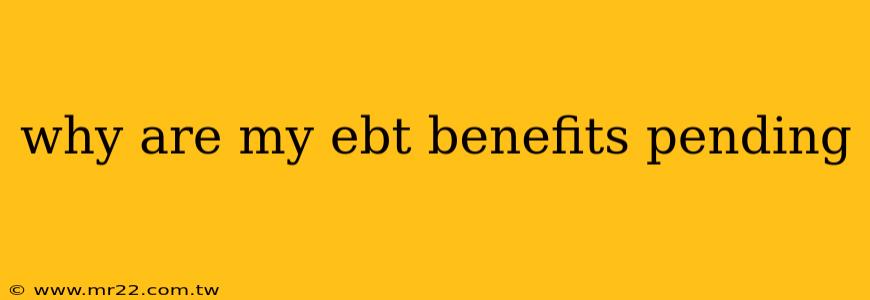 why are my ebt benefits pending
