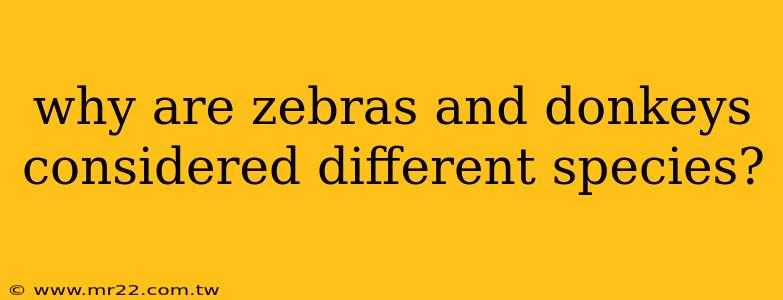 why are zebras and donkeys considered different species?