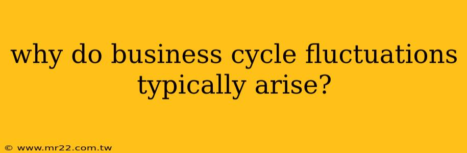 why do business cycle fluctuations typically arise?